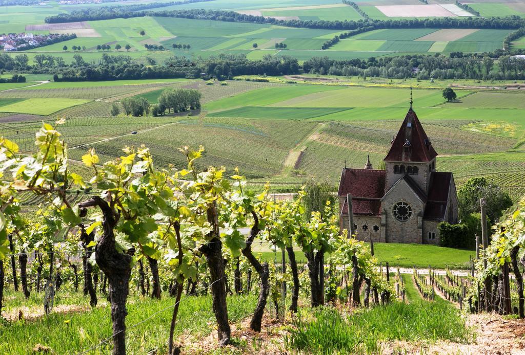 Hofgut Wissberg - Das Weinberghotel 상트요한 외부 사진